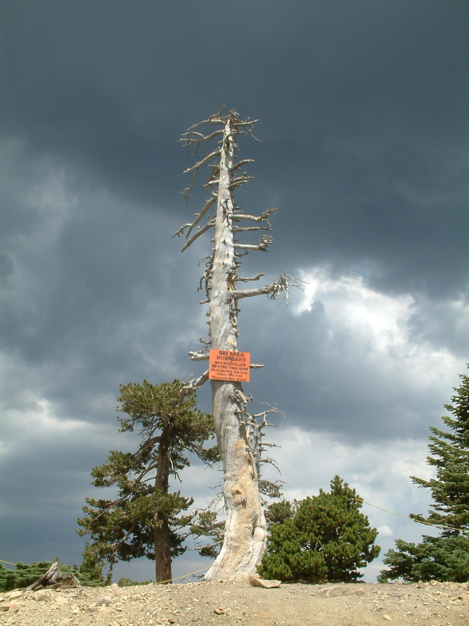 A storm is coming. (Hiking Mt. Baldy) Photo